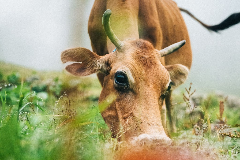 Preview_Kackar-nodumsports_moritzklee-MK_02297_komprimiert